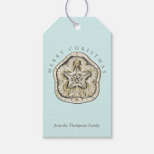 Frohe Weihnachten Sand Dollar Türkis Küste Geschenkanhänger (Vorderseite)