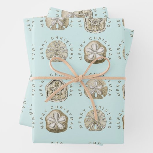 Frohe Weihnachten Sand Dollar Türkis Muster Geschenkpapier Set (Beispiel)