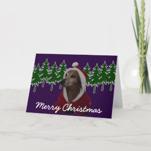 Frohe Weihnachten Santa Dachsund
