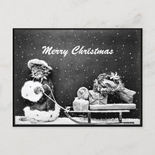 Frohe Weihnachten Santa Katze Weihnachten  Postkarte