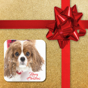 Frohe Weihnachten Schnee Cavalier King Charles Quadratischer Aufkleber