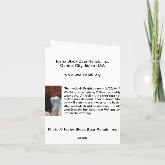 Frohe Weihnachten - Shenandoah hell (Rückseite)