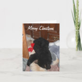 Frohe Weihnachten - Shenandoah hell (Vorderseite)