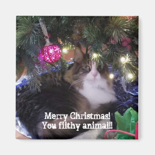 Frohe Weihnachten Sie schmutzig Tier Aloof Katze Magnet