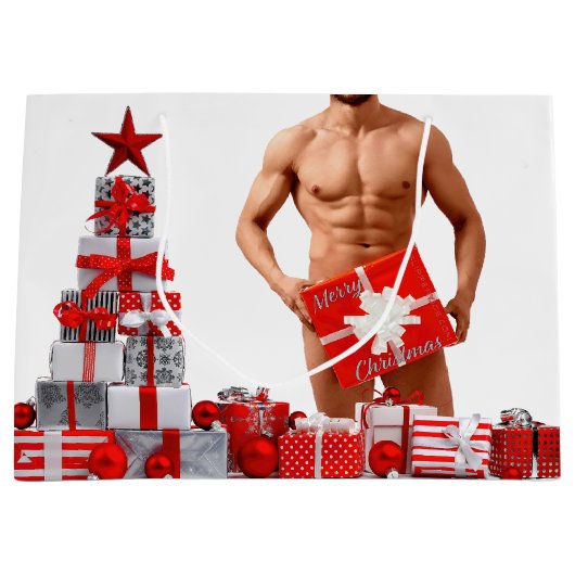 Frohe Weihnachten SlipperyJoe rot weiß Silber Gesc Große Geschenktüte (Vorderseite)