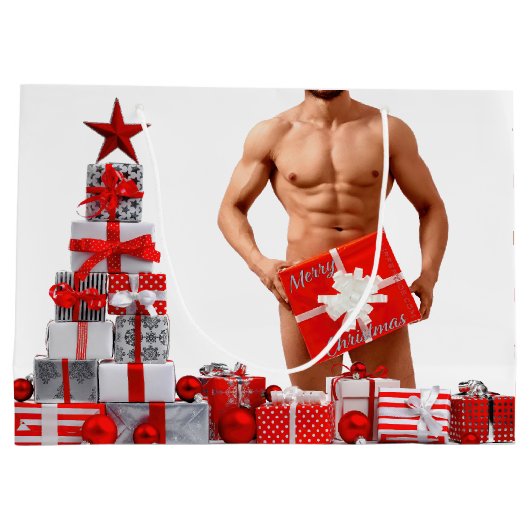 Frohe Weihnachten SlipperyJoe rot weiß Silber Gesc Große Geschenktüte (Rückseite)