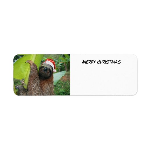 Frohe Weihnachten Sloth (Vorne)