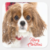 Frohe Weihnachten Snowy Cavalier King Charles Quadratischer Aufkleber (Vorderseite)