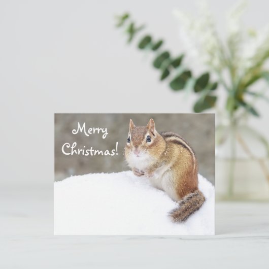 Frohe Weihnachten Snowy Chipmunk (Stehend Vorderseite)