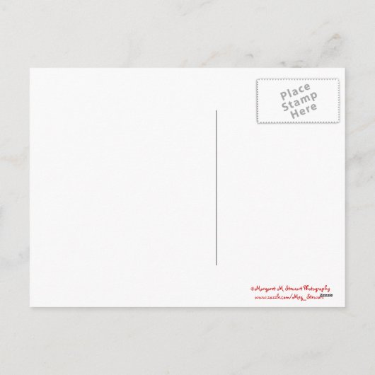 Frohe Weihnachten Snowy Chipmunk (Rückseite)