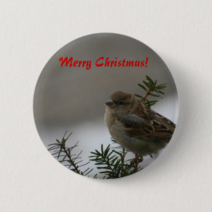Frohe Weihnachten, Spatz Button