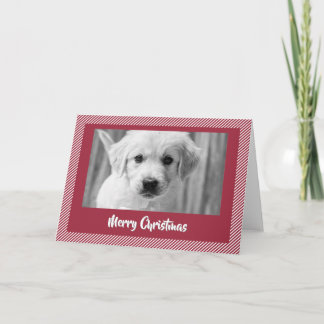 Frohe Weihnachten Süße Golden Retriever Welpen Kar Dankeskarte