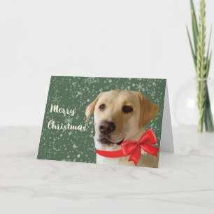 Frohe Weihnachten Süßer Labrador Hund Xmas Festlic