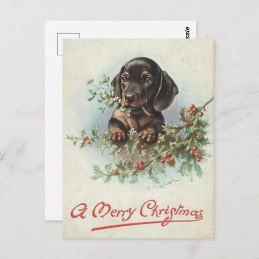 Frohe Weihnachten, Teckel Postkarte (Vorne/Hinten)