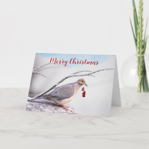 Frohe Weihnachten Trauertaube und rote Beeren