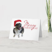 Frohe Weihnachten Tricolor Corgi Santa Foto (Vorderseite)