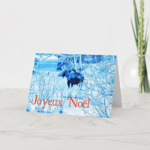 Frohe Weihnachten - Urban Moose
