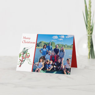 Frohe Weihnachten Vintage Vögel Ihre Familienfoto