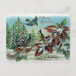 Frohe Weihnachten Vintage Winterwald Vögel Postkarte
