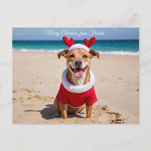 Frohe Weihnachten vom Florida-Strand (Vorderseite)