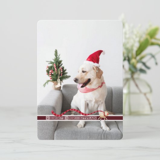 Frohe Weihnachten vom Hund anpassbar (Stehend Vorderseite)