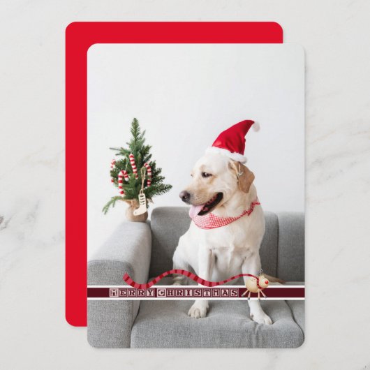 Frohe Weihnachten vom Hund anpassbar (Vorne/Hinten)