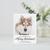 Frohe Weihnachten vom Hund Moderne Foto Hol Postkarte (Stehend Vorderseite)