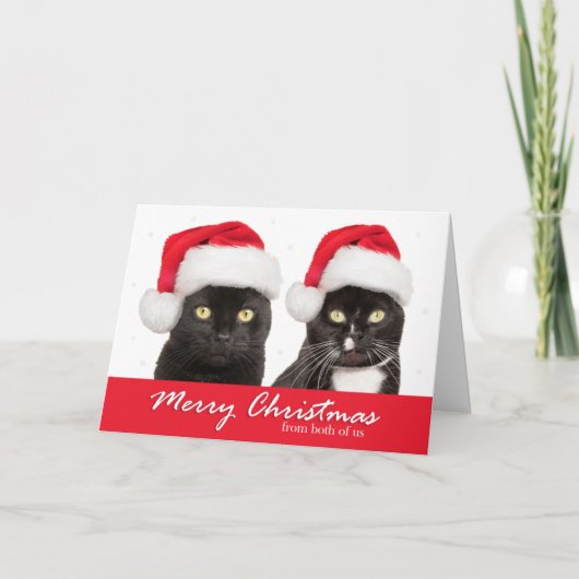 Frohe Weihnachten von beiden US Katzen in Weihnach (Vorderseite)