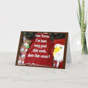 Frohe Weihnachten von Danny Duck Ankündigung