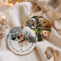 Frohe Weihnachten von deinem Fellbaby 5 Foto Hund