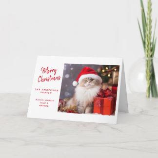 Frohe Weihnachten von der Katze in einer Weihnacht