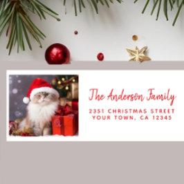 Frohe Weihnachten von der Katze in einer Weihnacht