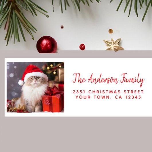 Frohe Weihnachten von der Katze in einer Weihnacht