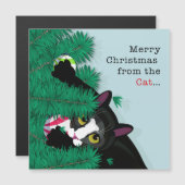 Frohe Weihnachten von der Katze Magnetkarte (Vorne/Hinten)