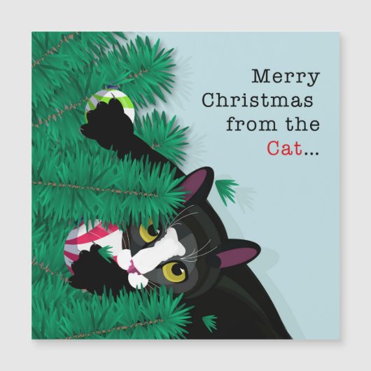 Frohe Weihnachten von der Katze Magnetkarte (Vorderseite)