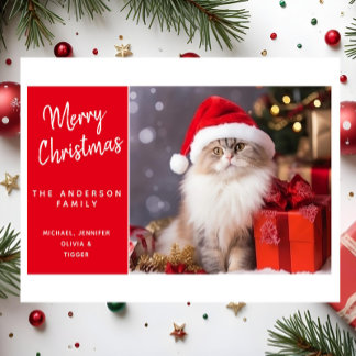 Frohe Weihnachten von der Katze mit dem Weihnachts