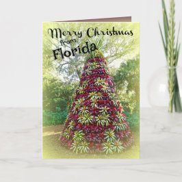 Frohe Weihnachten von Florida Bromeliad Tree