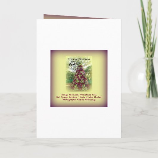 Frohe Weihnachten von Florida Bromeliad Tree (Rückseite)