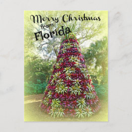 Frohe Weihnachten von Florida Bromeliad Tree Postkarte