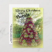 Frohe Weihnachten von Florida Bromeliad Tree Postkarte (Vorne/Hinten)
