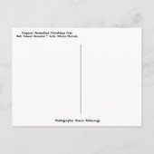 Frohe Weihnachten von Florida Bromeliad Tree Postkarte (Rückseite)