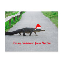 Frohe Weihnachten von Florida lustiger Alligator