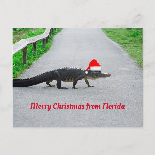 Frohe Weihnachten von Florida lustiger Alligator Postkarte (Vorderseite)