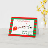 Frohe Weihnachten von Hunden Multiple Pets Card Karte (Gelbe Blume)