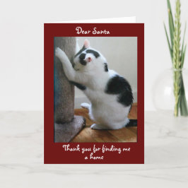 Frohe Weihnachten von Ihrer Adoptiert Katze Karte