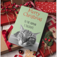 Frohe Weihnachten von Katze zu Mensch Ich lustig