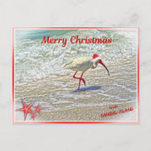 Frohe Weihnachten von Sanibel Island FL White Ibis (Vorderseite)