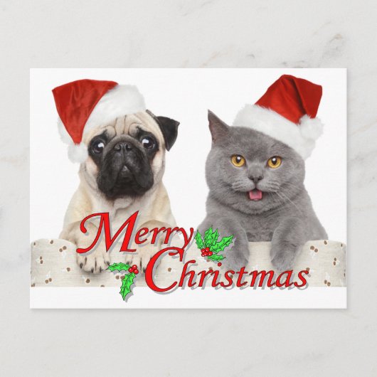 Frohe Weihnachten von Santa Cat und Hund Postkarte (Vorderseite)