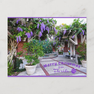 Frohe Weihnachten von Sunny Florida Purple Blumen Postkarte