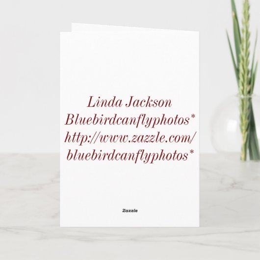 Frohe Weihnachten von unserem Haus zu Ihrem! (Rückseite)